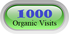order 1000 organic traffic visits
