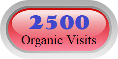 order 2500 organic traffic visits