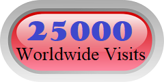order 25000 worldwide targeted traffic visits