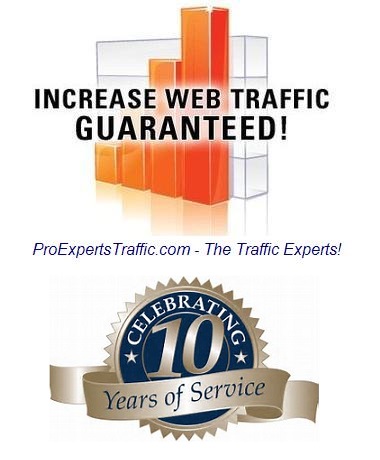 Buy website traffic through the order form here!